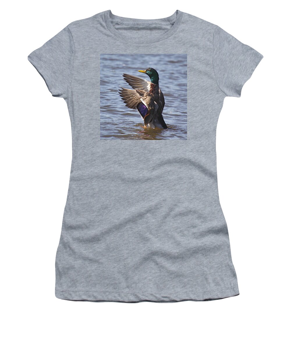 Duck Women's T-Shirt featuring the photograph Stretch by Robert Pearson