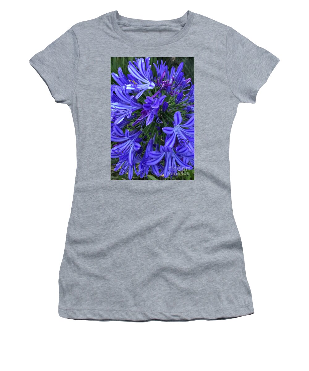 Striking Women's T-Shirt featuring the photograph Striking Blue Agapanthus by By Divine Light