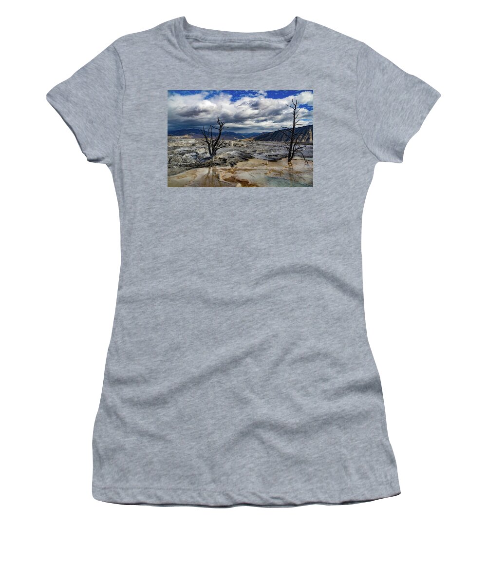 National Women's T-Shirt featuring the photograph Striking Dead Trees by Roslyn Wilkins