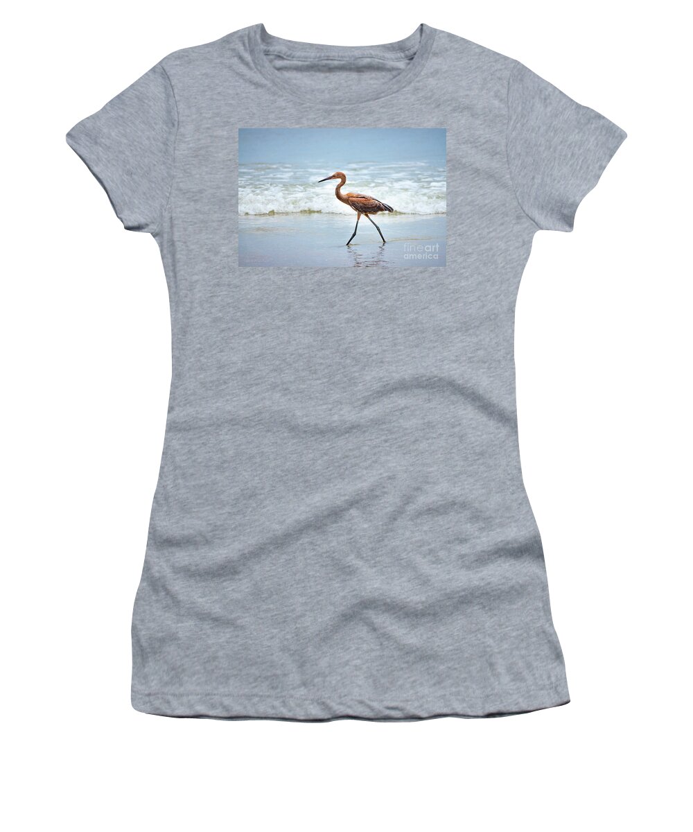 Florida Women's T-Shirt featuring the photograph Strolling by Todd Blanchard
