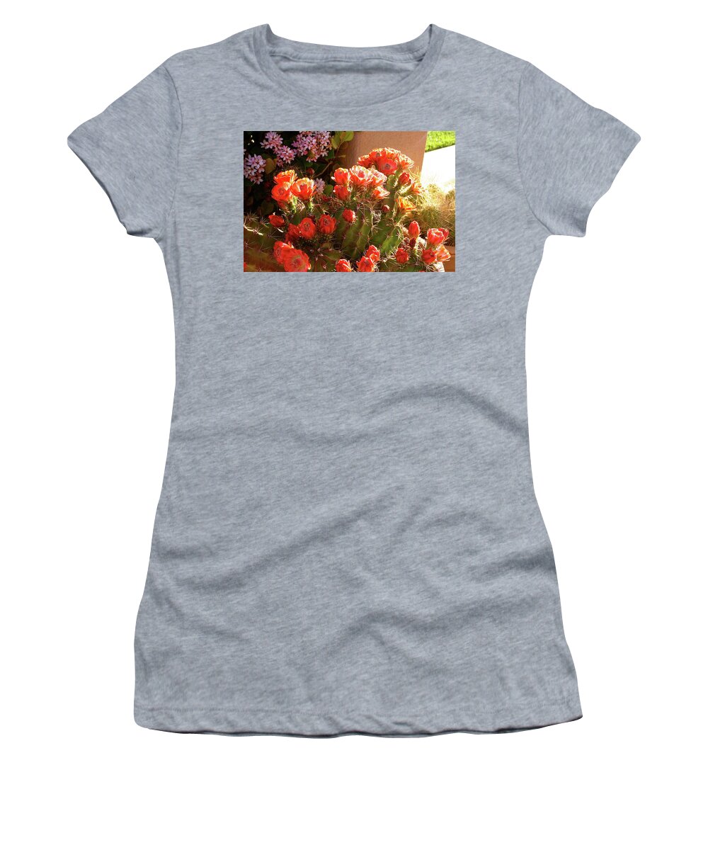 Cacti Women's T-Shirt featuring the photograph Strong and Gentle by Patricia Haynes