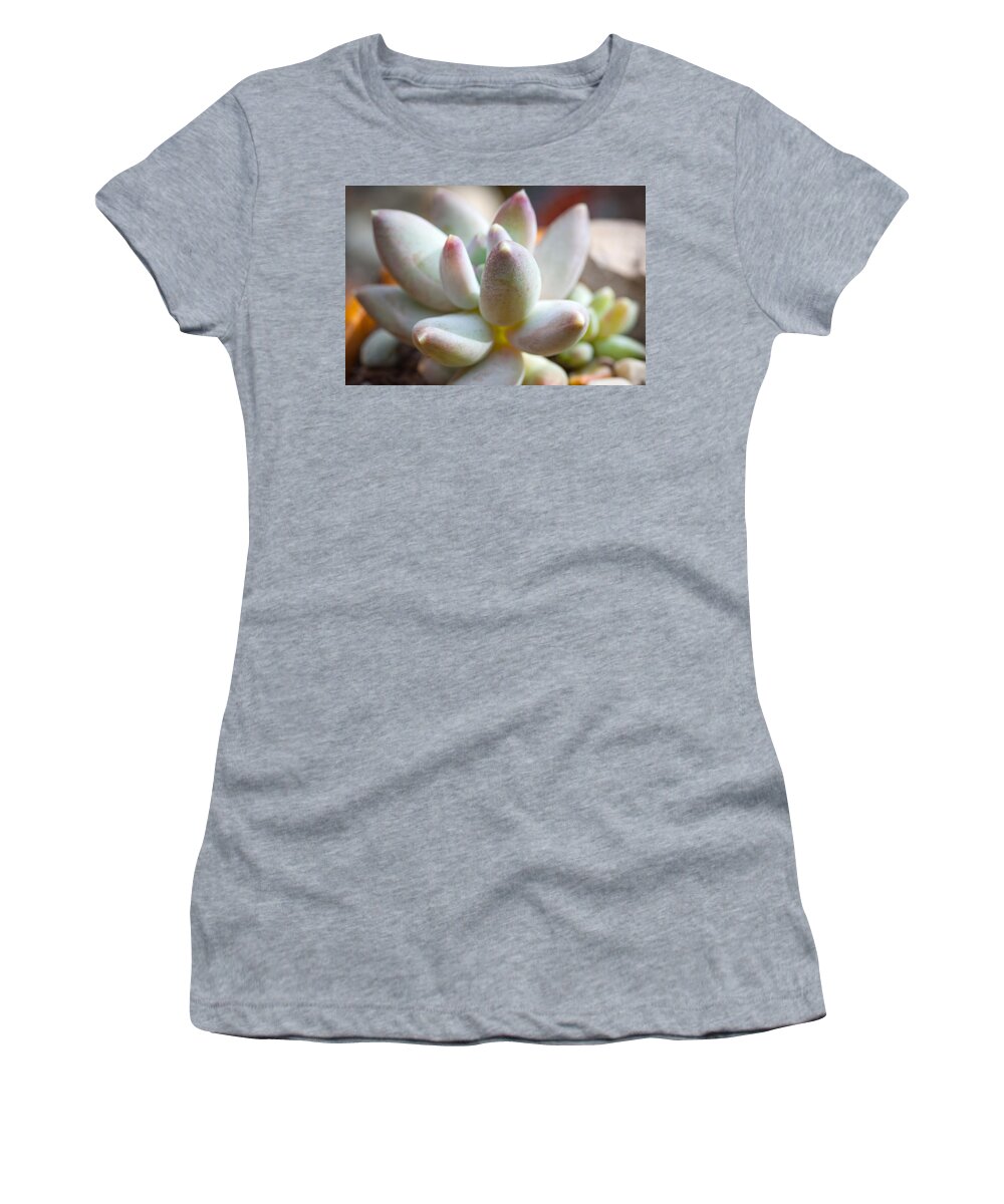 Succulent Women's T-Shirt featuring the photograph Succulent Cute by Catherine Lau