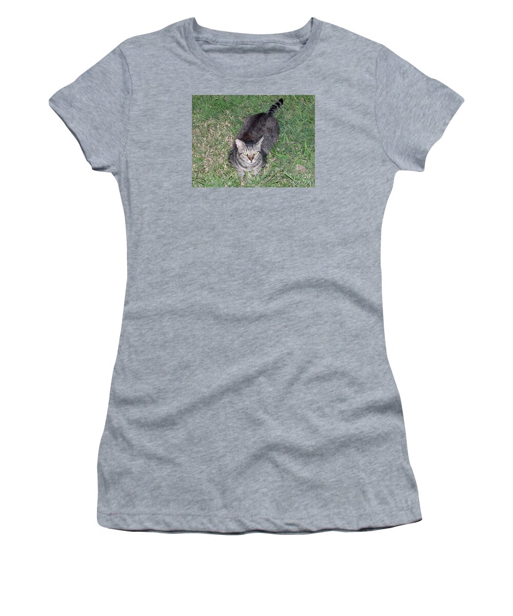 Cat Women's T-Shirt featuring the photograph Summer Evening by Joseph Baril