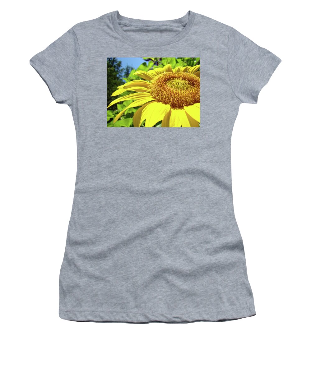 Sunflower Women's T-Shirt featuring the photograph SUN FLOWER Art Sunlit Sunflower Giclee Prints Baslee Troutman by Patti Baslee