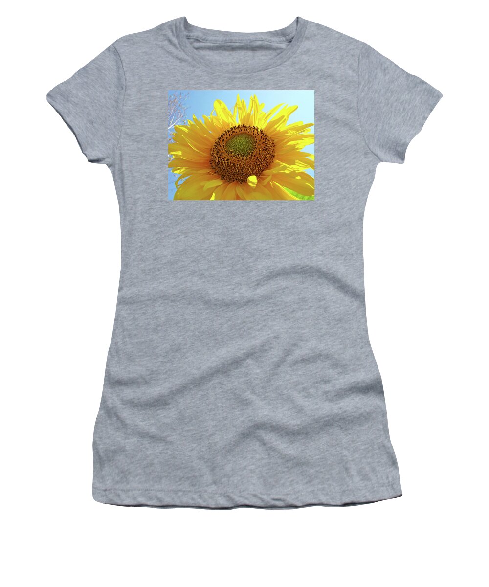 Sunflower Women's T-Shirt featuring the photograph SUN FLOWERS Art SUNFLOWER Giclee Prints Baslee Troutman by Patti Baslee