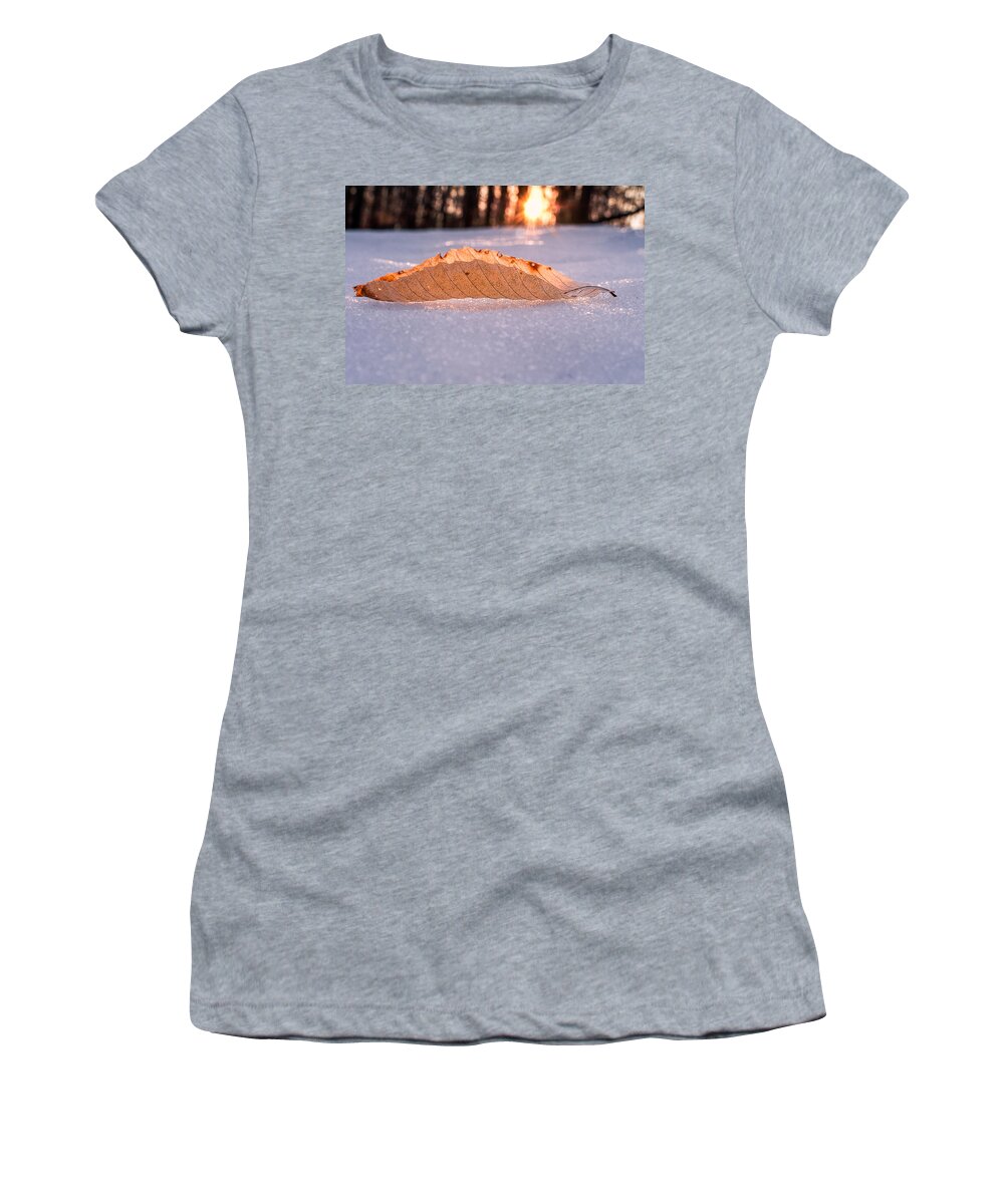 Sunlight Women's T-Shirt featuring the photograph Sunbathing by Craig Szymanski
