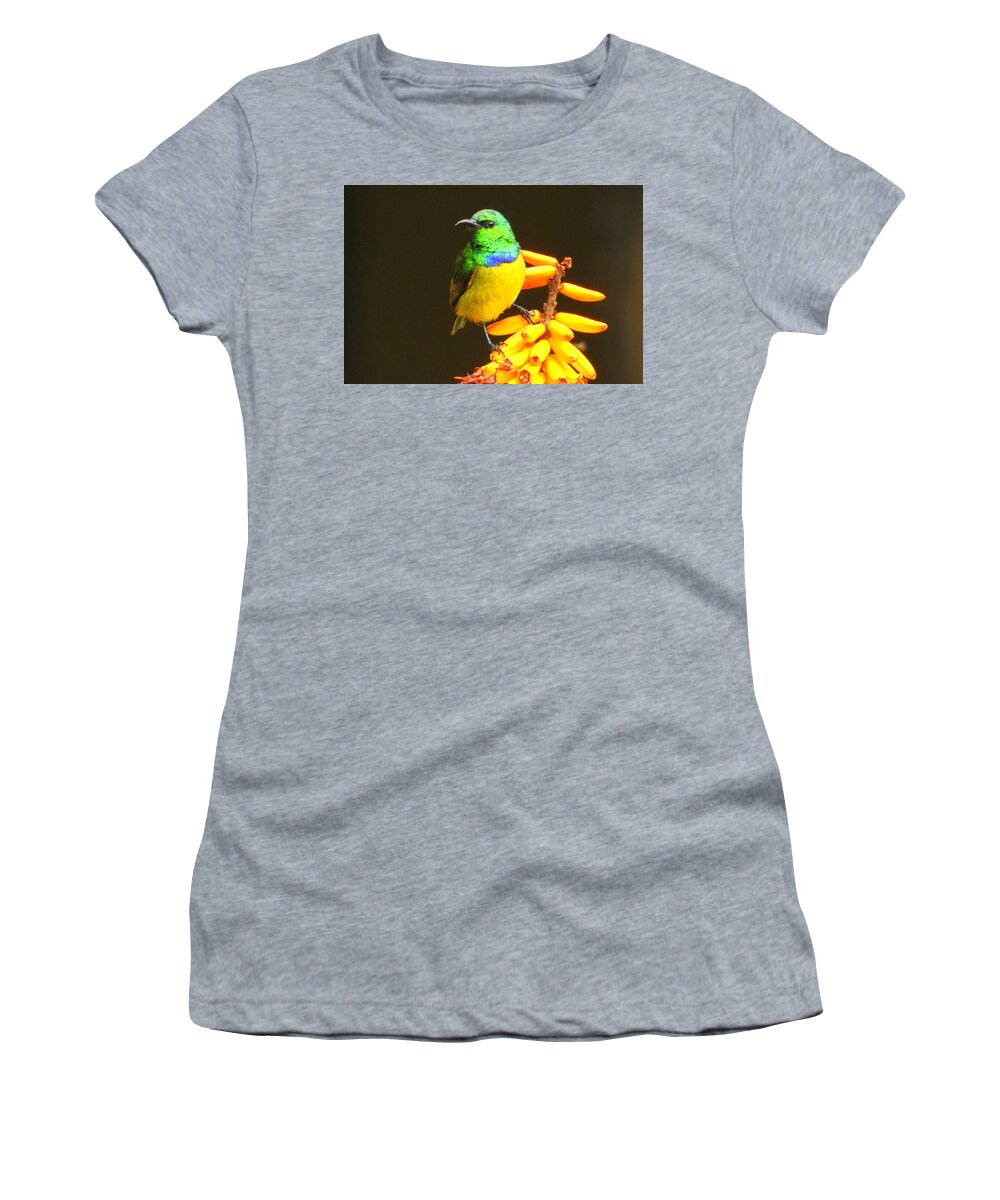 Bird Women's T-Shirt featuring the photograph Sunbird by Betty-Anne McDonald