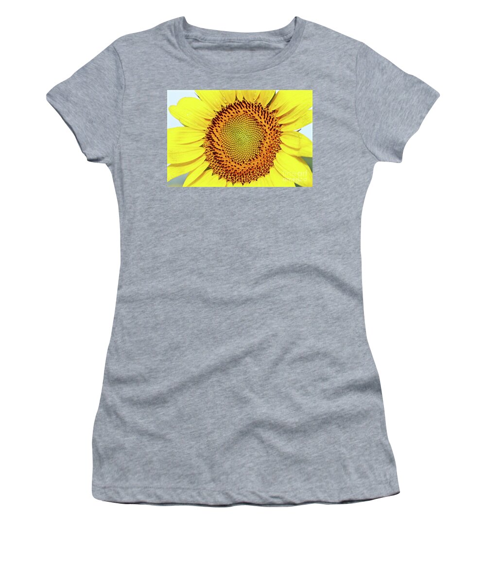 Sunflower Women's T-Shirt featuring the photograph Sundrenched Bliss by Phil Cappiali Jr
