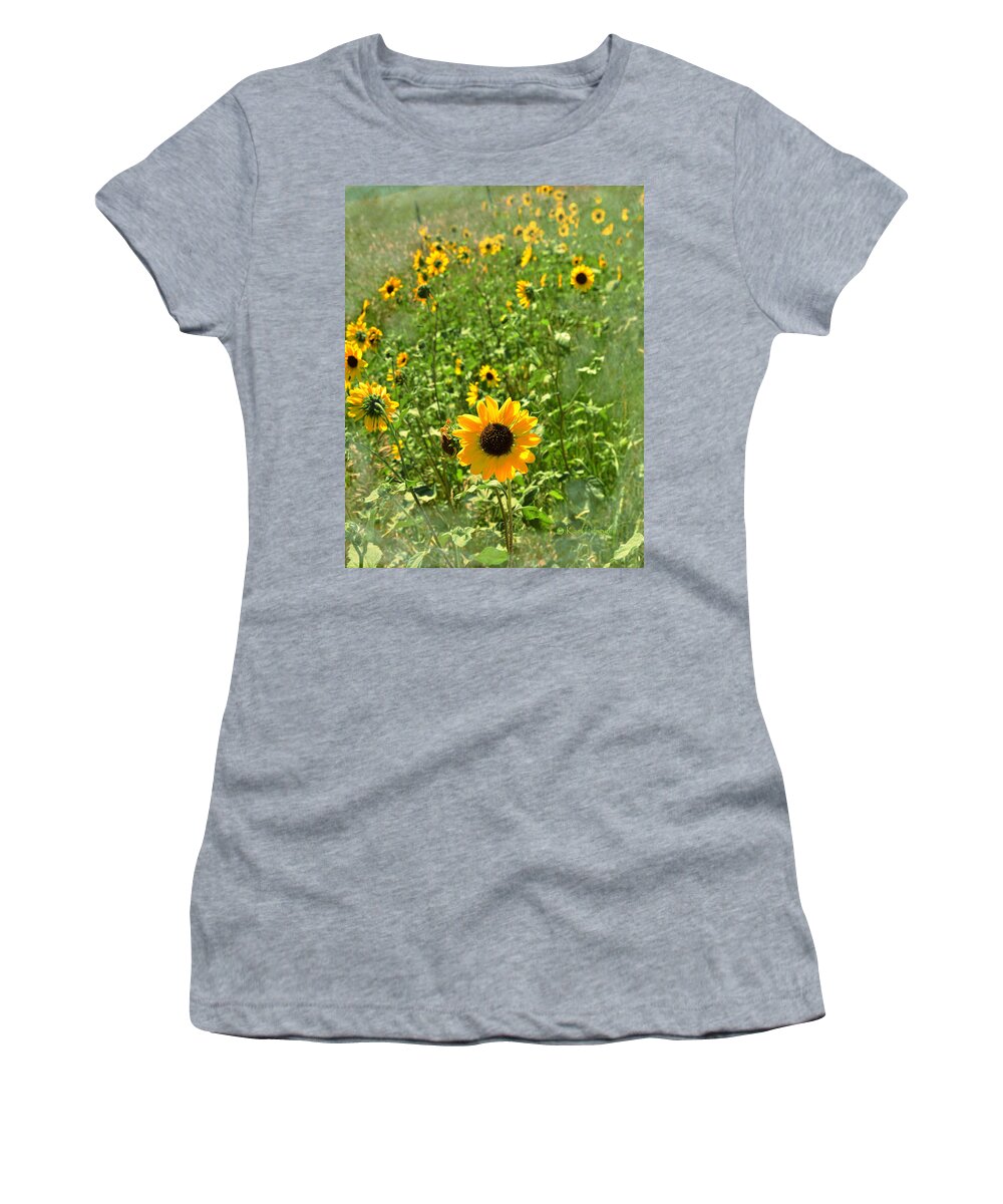 Sunflower Women's T-Shirt featuring the photograph Sunflower 183 by Kae Cheatham