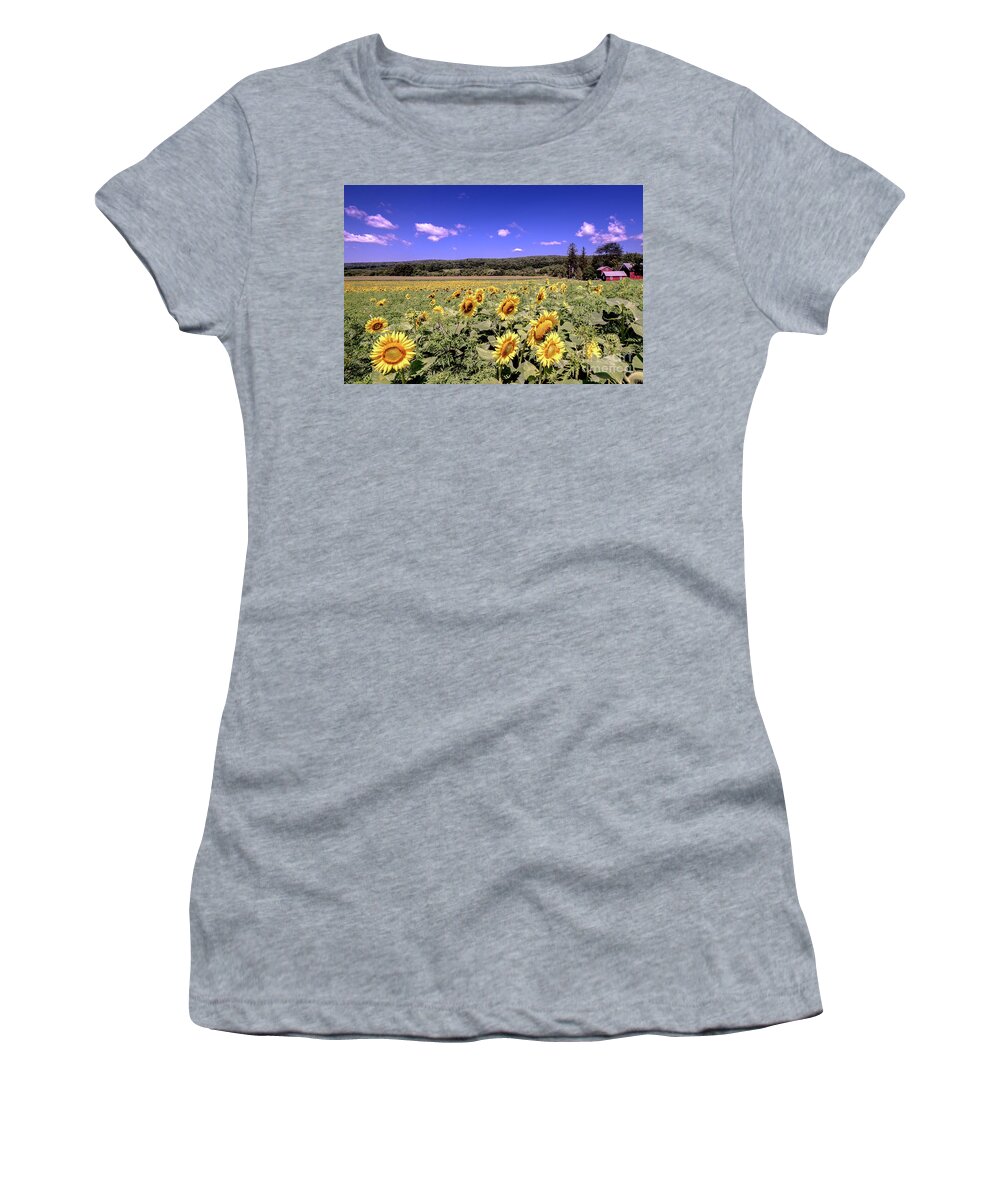 Sunflower Farm Women's T-Shirt featuring the photograph Sunflower Farm by Jim DeLillo
