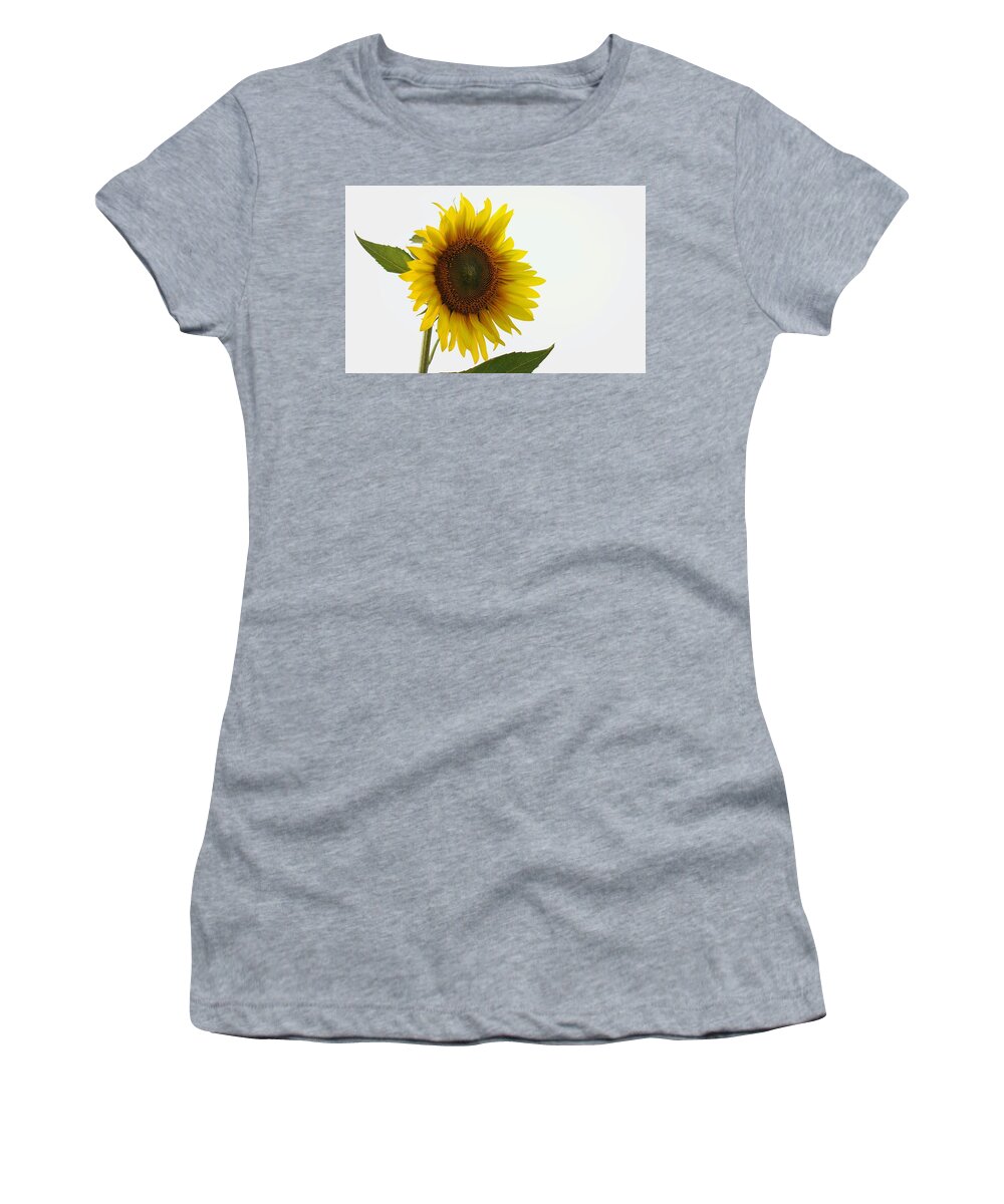 Skompski Women's T-Shirt featuring the photograph Sunflower Minimal by Joseph Skompski