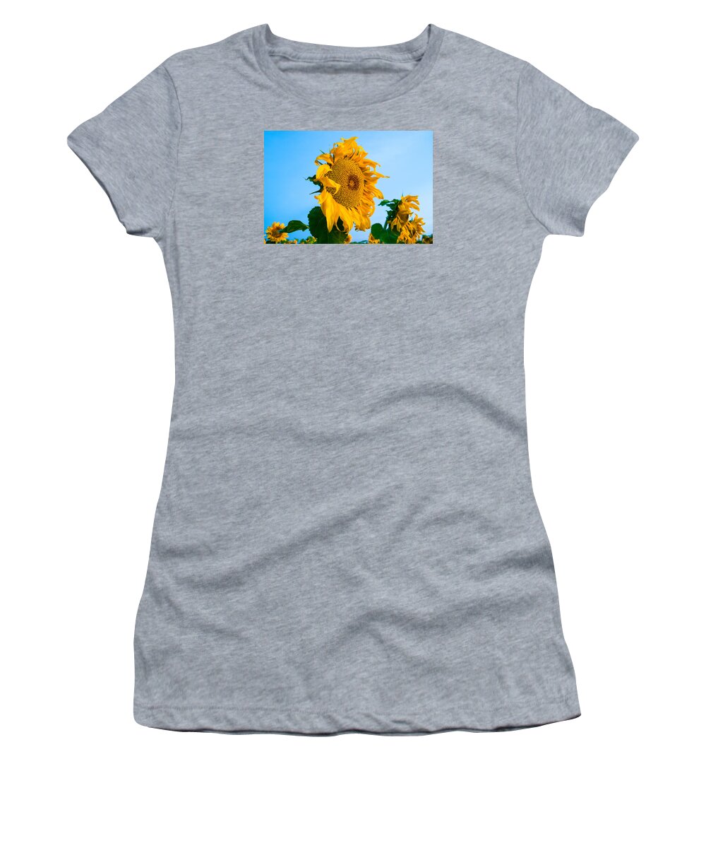 Sunrise Women's T-Shirt featuring the photograph Sunflower Morning #2 by Mindy Musick King
