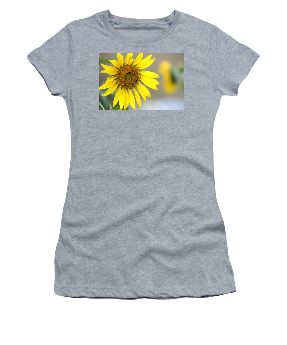 Nature Women's T-Shirt featuring the photograph Sunflower by Sheila Brown