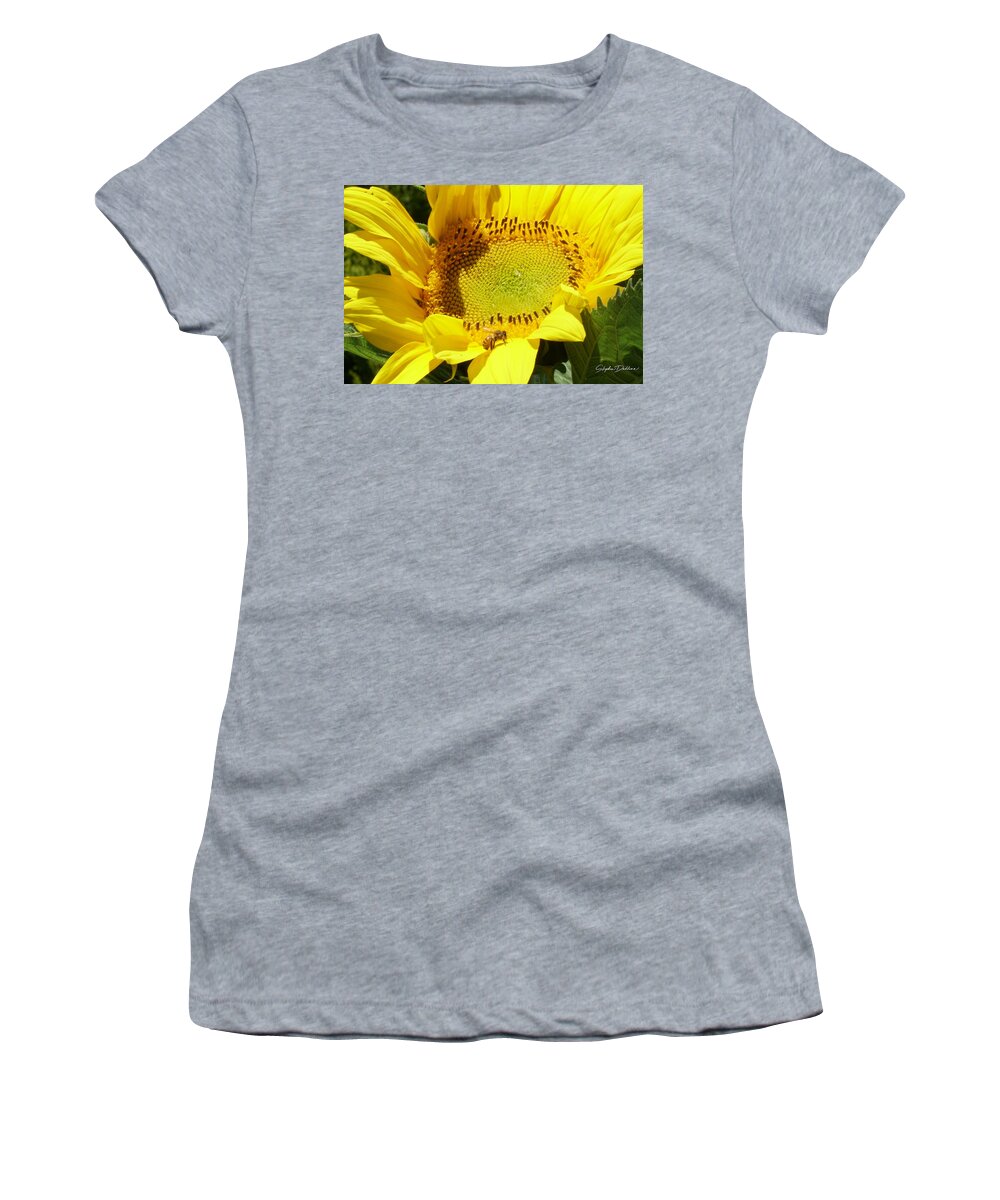 Sunflower Women's T-Shirt featuring the photograph Sunflower With Honeybee by Stephen Daddona