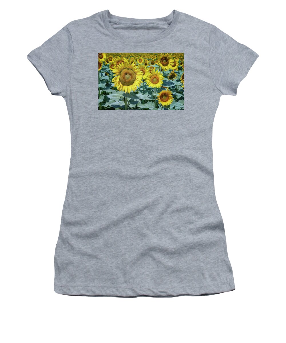 Garden Women's T-Shirt featuring the photograph Sunflowers Weldon Spring MO GRK8252_07142018 by Greg Kluempers