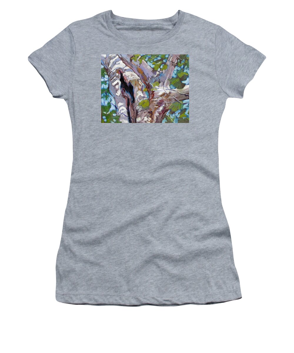 Tree Women's T-Shirt featuring the painting Sunlight on Sycamore by John Lautermilch