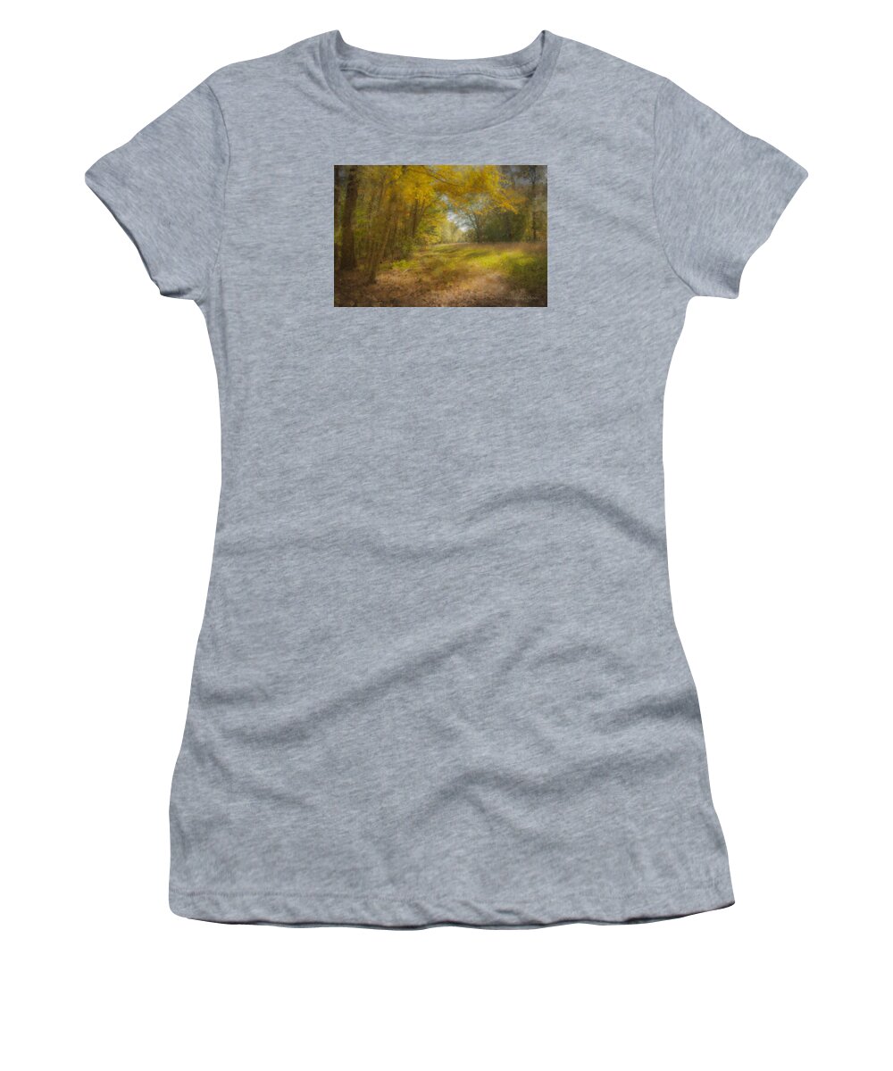 Sunlit Women's T-Shirt featuring the painting Sunlit Meadow in Borderland by Bill McEntee
