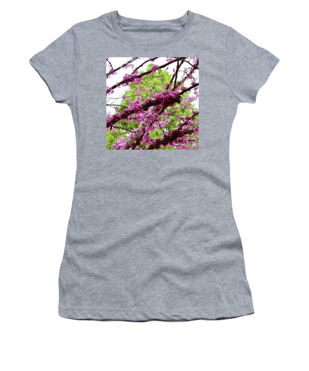 Photography Women's T-Shirt featuring the photograph Sunning Redbud Blooming Branches by M E