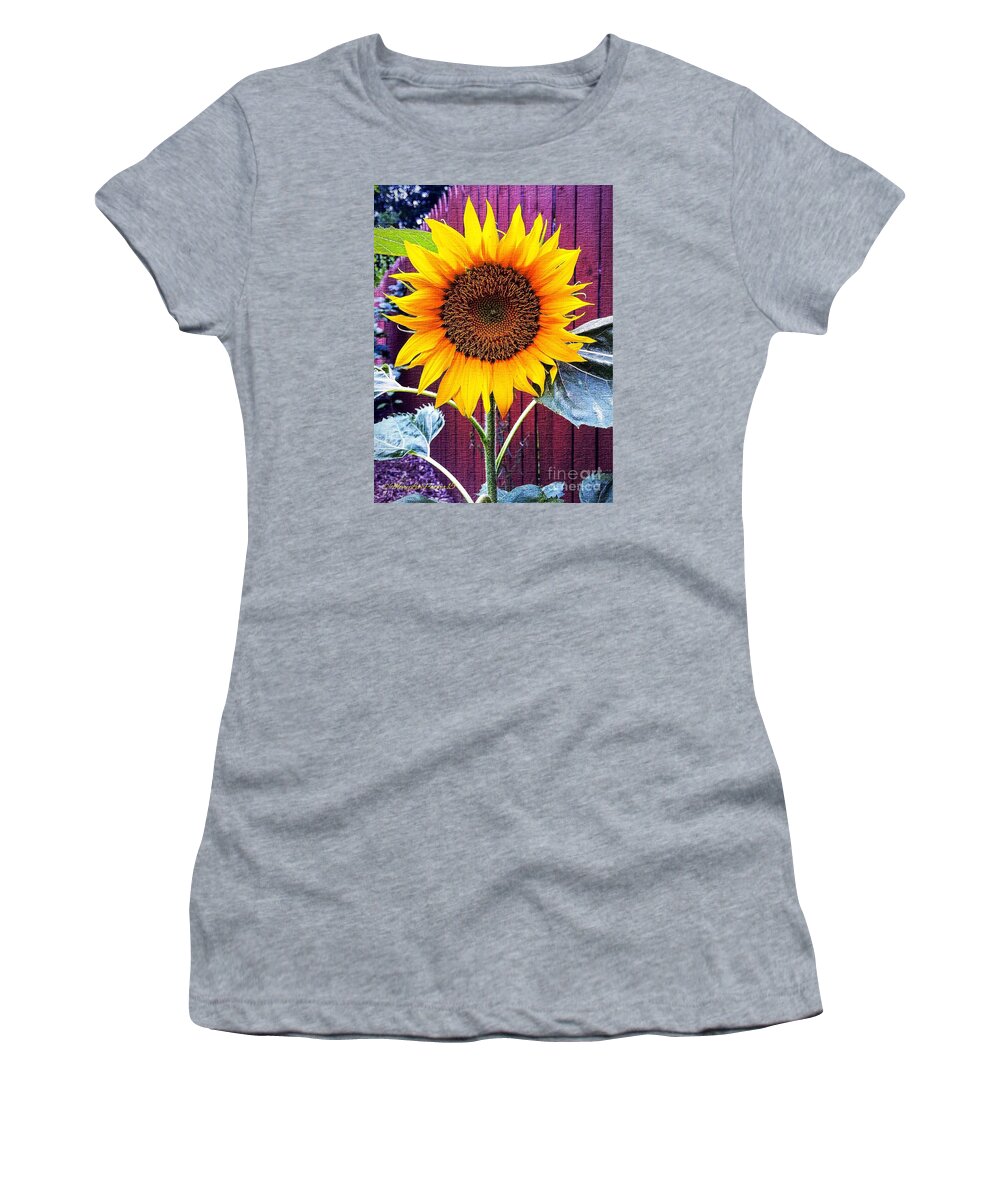 Photograph Women's T-Shirt featuring the mixed media Sunny Day by MaryLee Parker