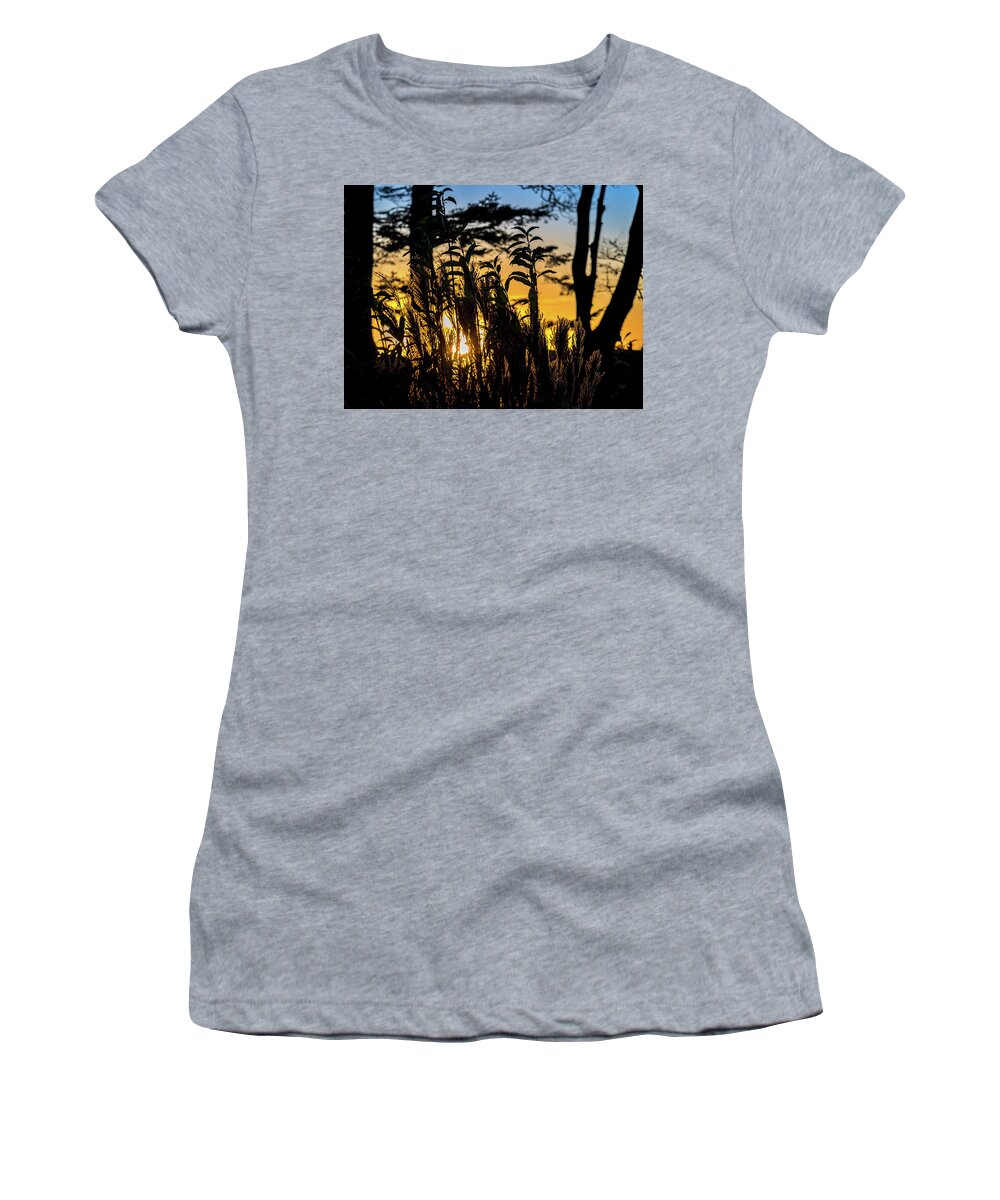 Orange Women's T-Shirt featuring the photograph Sunset Silhouette by Mark Llewellyn