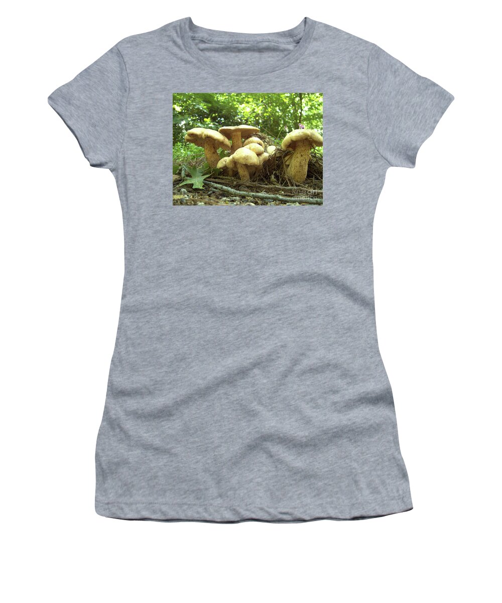 Mushroom Women's T-Shirt featuring the photograph Surprise Fungi in Gibbs Garden by Nicole Angell