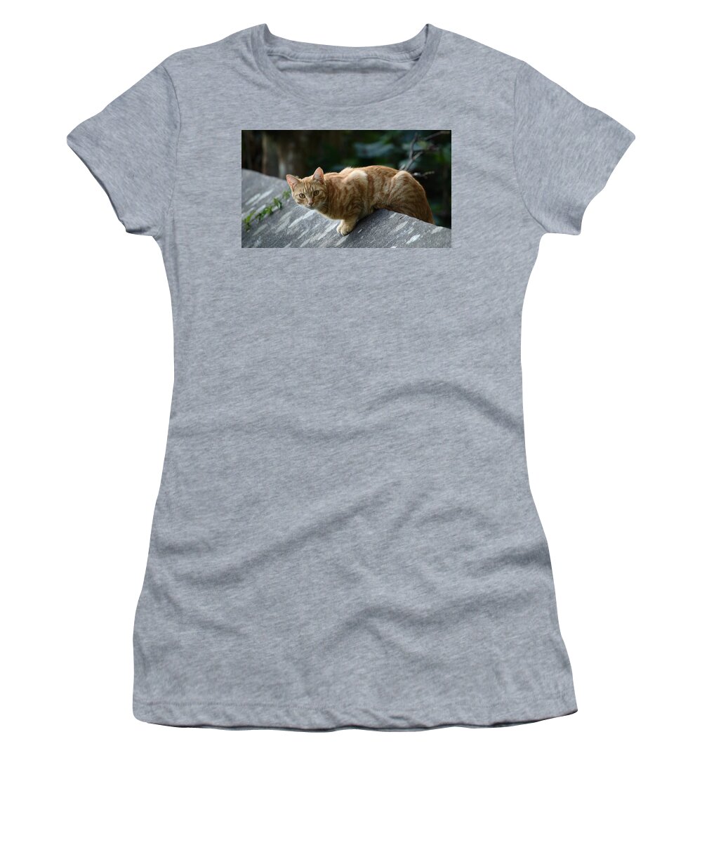 Cat Women's T-Shirt featuring the photograph Surprised To See You by Adrian Wale