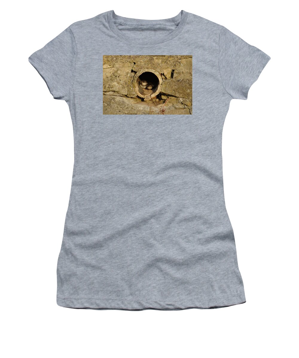 Swallow Women's T-Shirt featuring the photograph Swallow Babies In Pipe by Adrian Wale