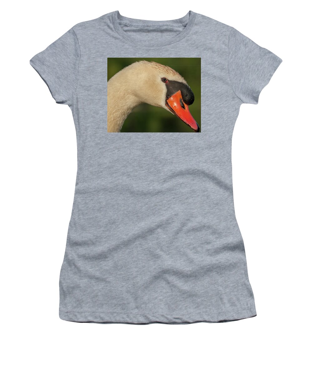 Bird Women's T-Shirt featuring the photograph Swan Headshot by Paul Johnson