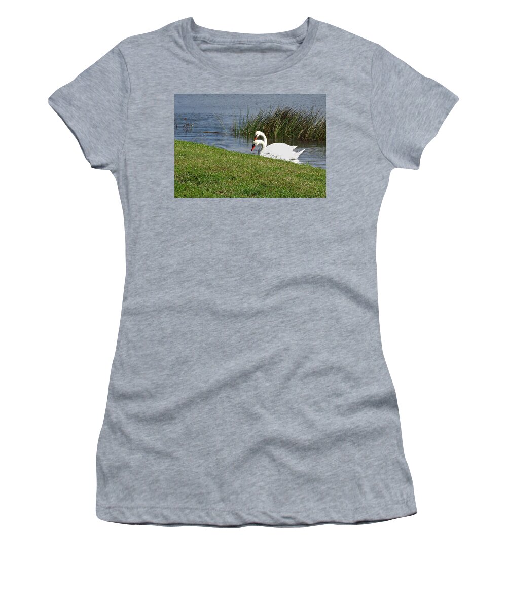 Swan Women's T-Shirt featuring the photograph Swan Pair as Photographed by Rosalie Scanlon