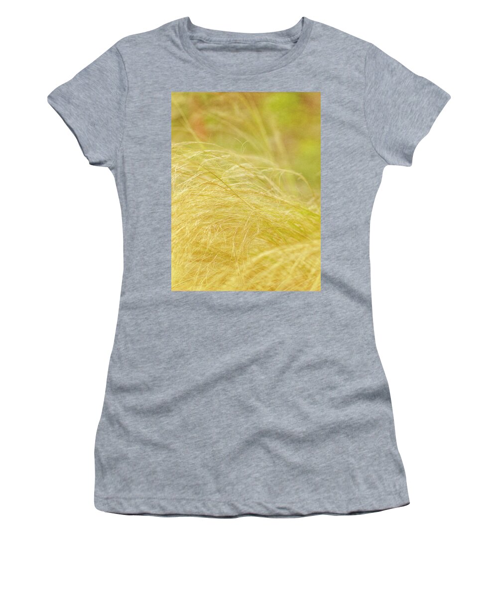Grass Women's T-Shirt featuring the photograph Swaying by Diane Fifield