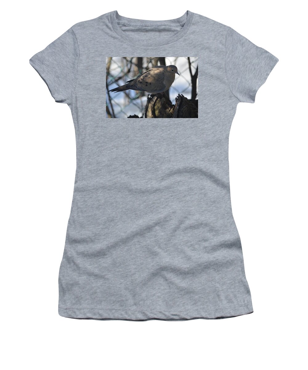 Mourning Dove Women's T-Shirt featuring the photograph Sweetness by Cheryl Charette
