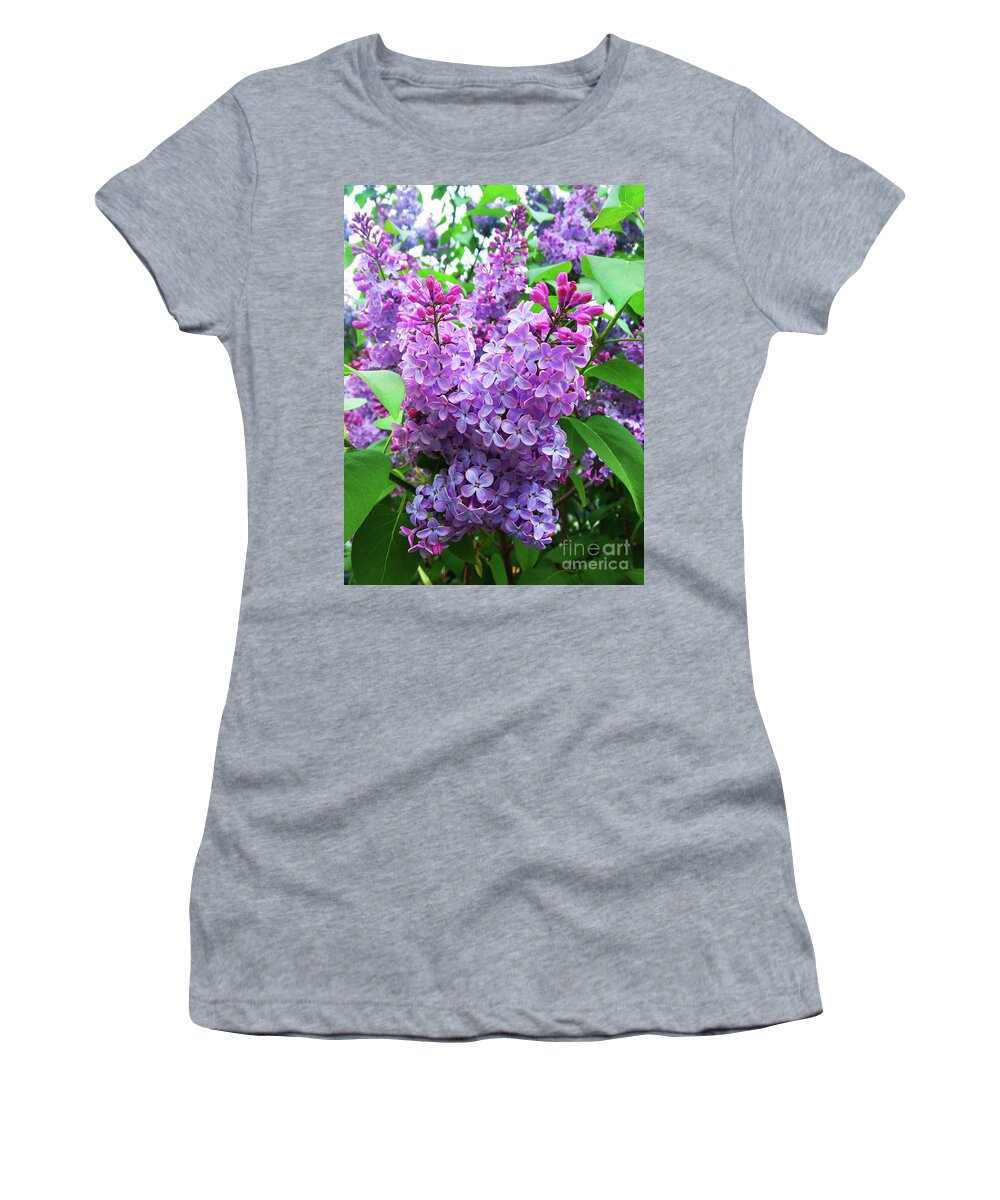 Pink Lilac Women's T-Shirt featuring the photograph Syringa by Jasna Dragun