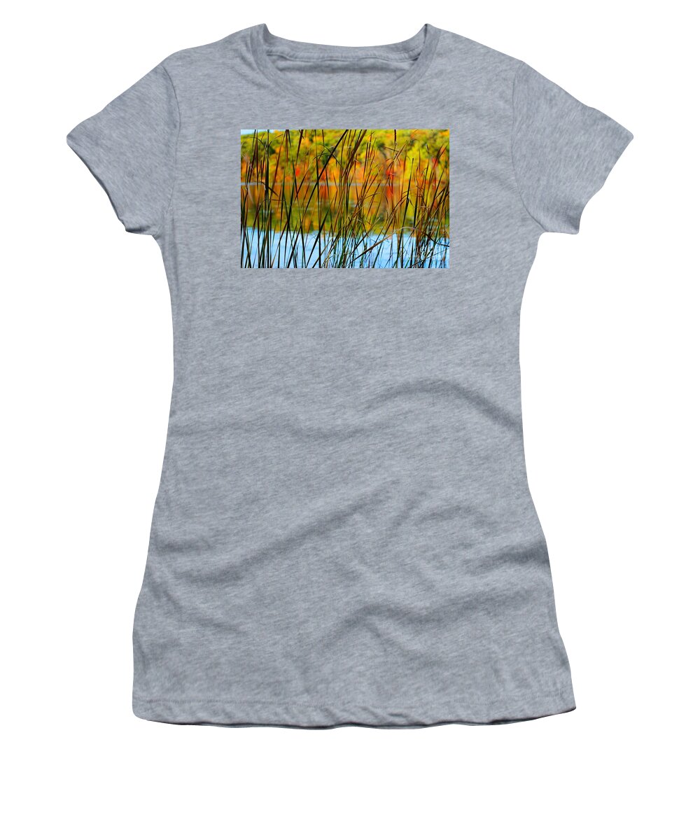 Autumn Women's T-Shirt featuring the photograph Tall Grass Abstract by Randy Pollard