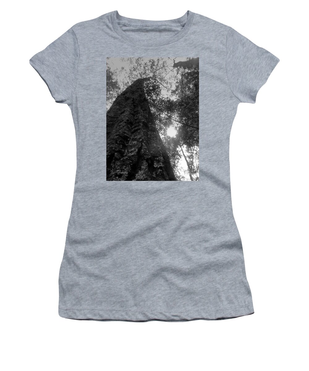 Tree Women's T-Shirt featuring the photograph Tall tree by Ryan Cruse
