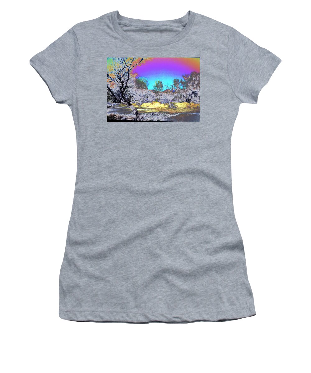 Abstract Women's T-Shirt featuring the photograph Tanque Verde Wash abstract by M Diane Bonaparte