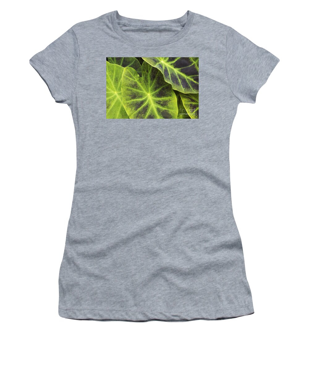 Agriculture Women's T-Shirt featuring the photograph Taro Hoomaluhia 1 by Mary Van de Ven - Printscapes