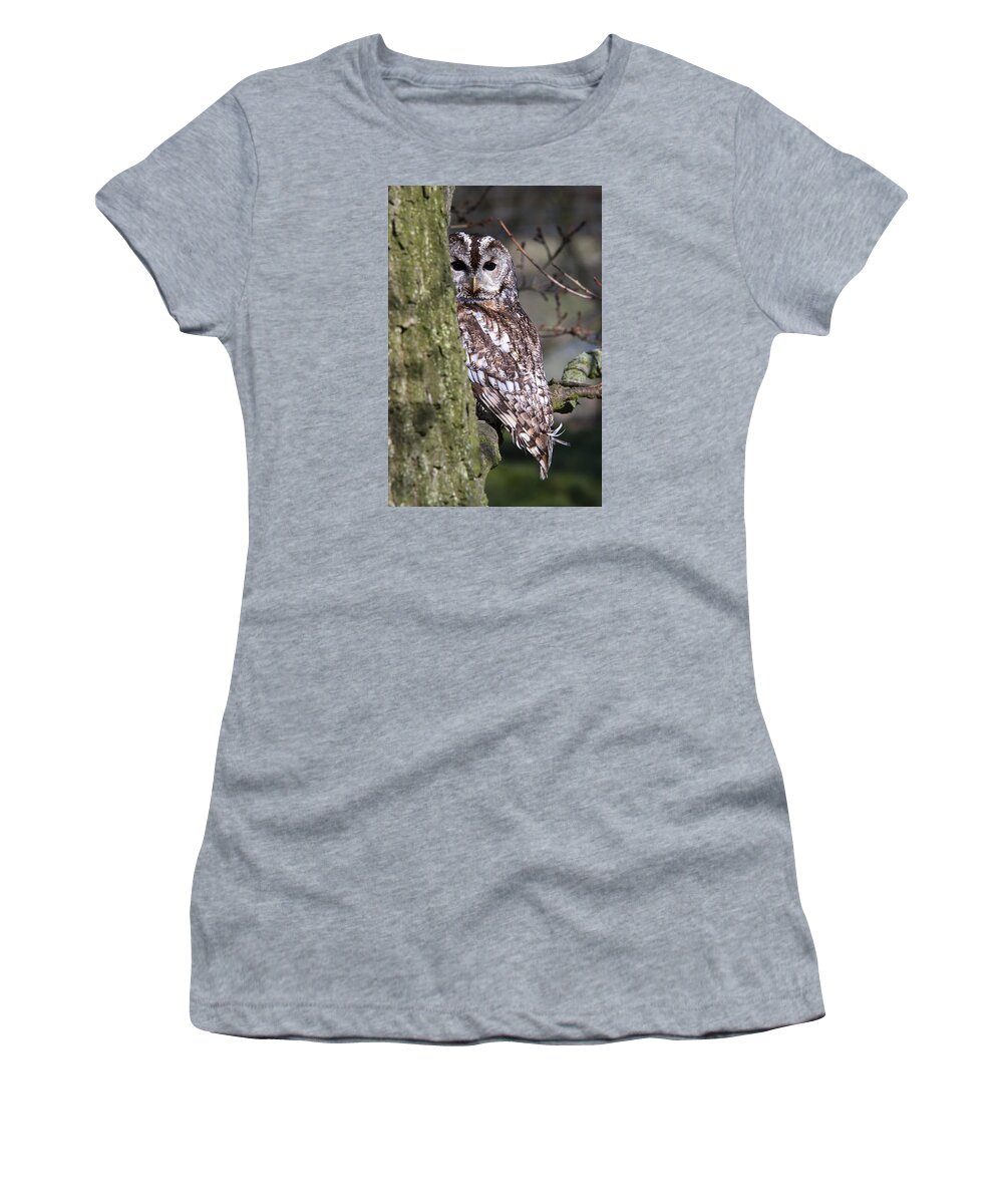 Tawny Owl Women's T-Shirt featuring the photograph Tawny Owl in a Woodland by Andy Myatt