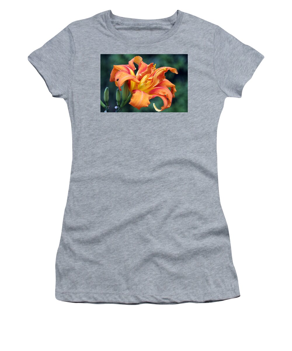 Hemerocallis Hybrid Women's T-Shirt featuring the photograph Tequilla Sunrise Daylilly by Valerie Collins