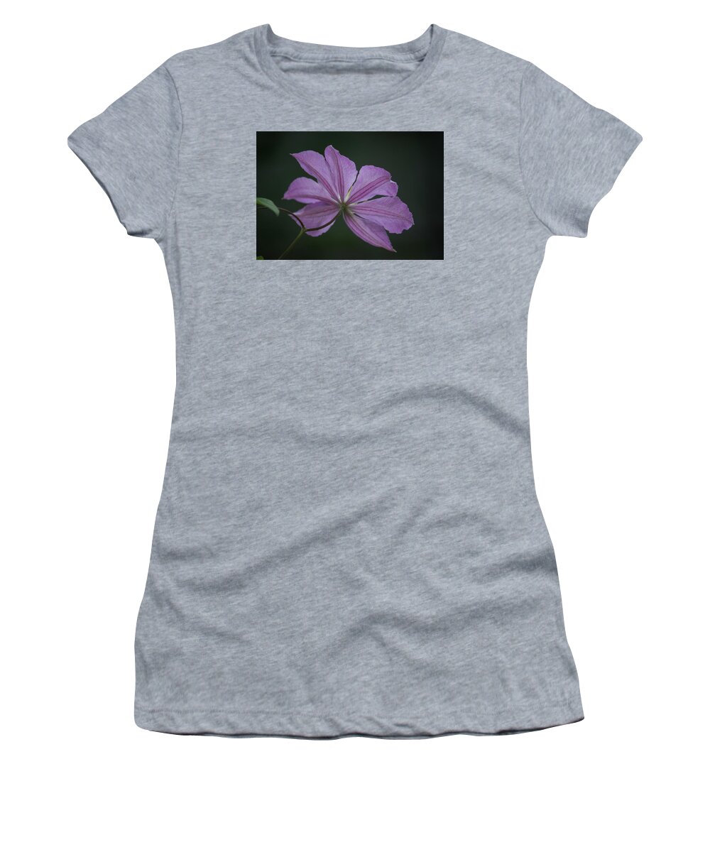 Photograph Women's T-Shirt featuring the photograph Teresas Clematis by Suzanne Gaff