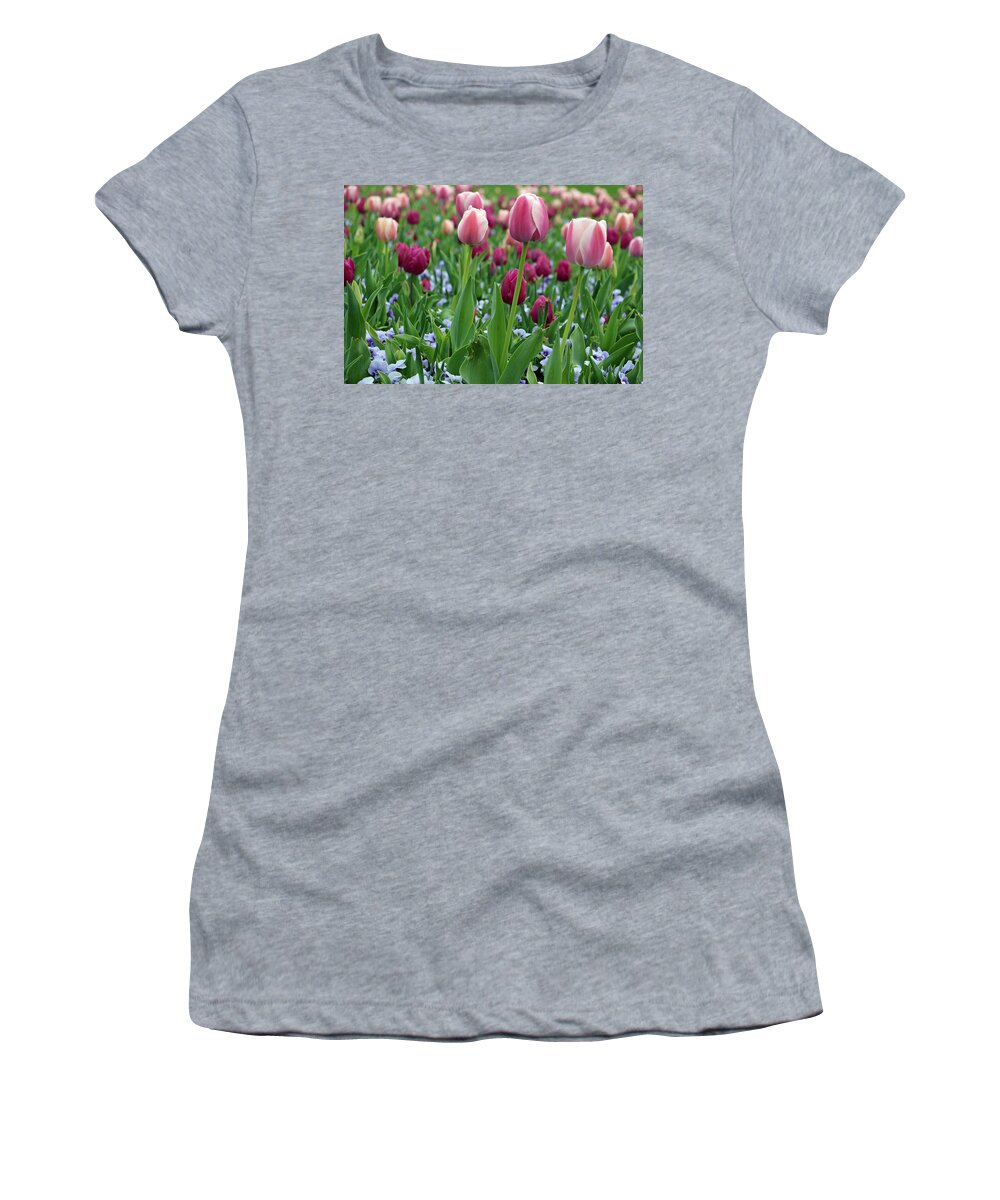 Tulip Women's T-Shirt featuring the photograph Texas Blooms 69 by Pamela Critchlow