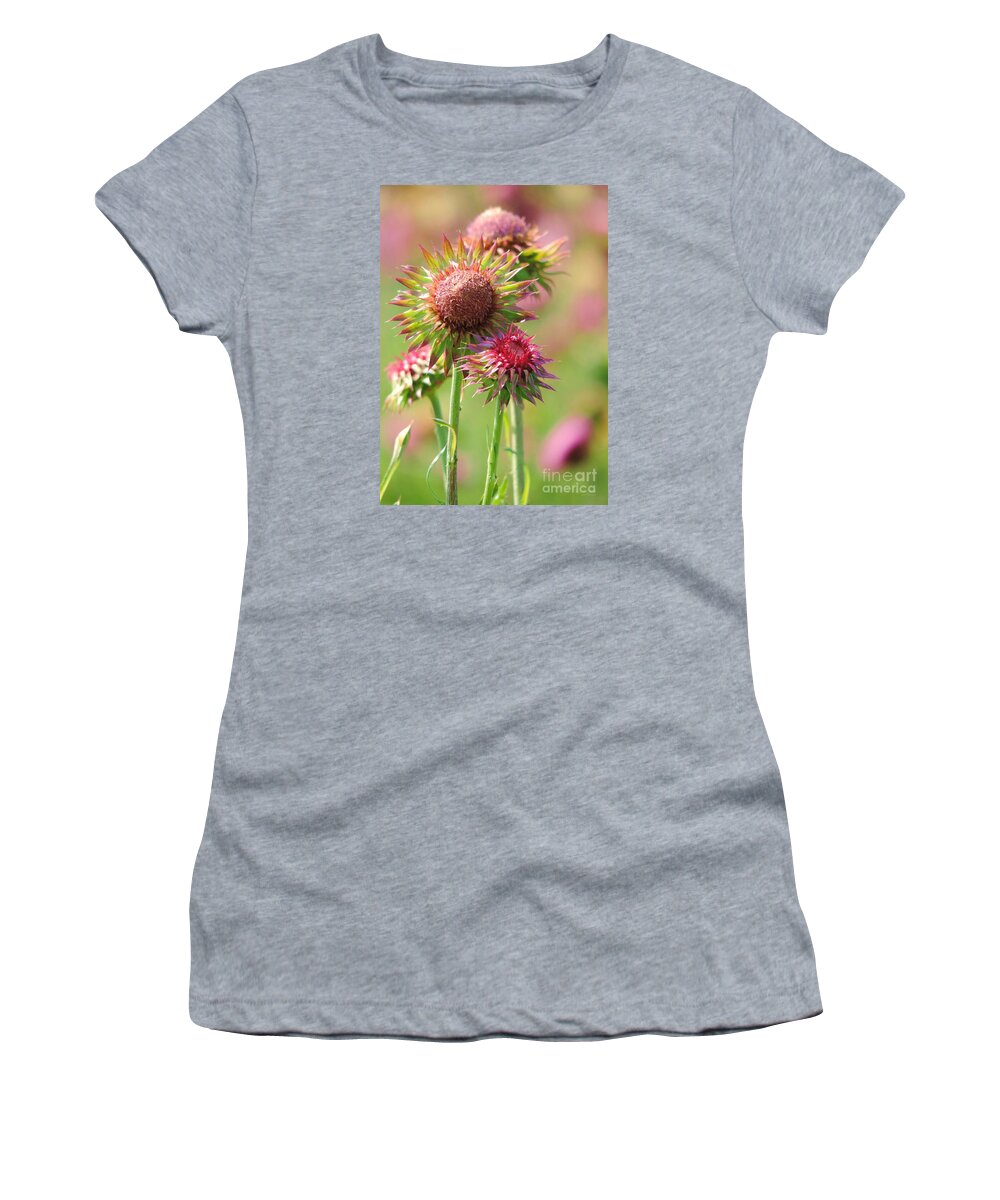 Texas Thistle Women's T-Shirt featuring the photograph Texas Thistle 001 by Robert ONeil