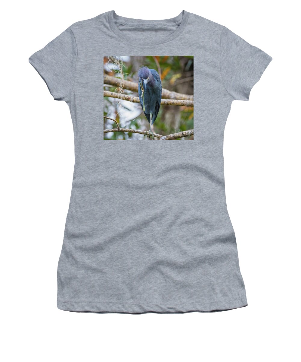 Herons Women's T-Shirt featuring the photograph That Feels Great - Little Blue Heron by DB Hayes