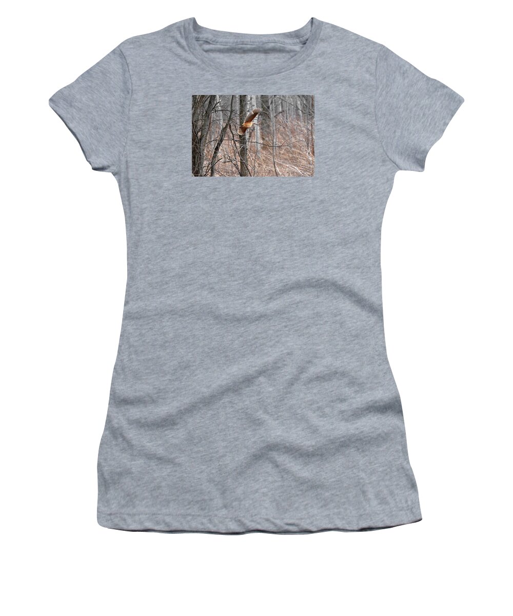 American Woodcock Women's T-Shirt featuring the photograph The American Woodcock in-flight by Asbed Iskedjian