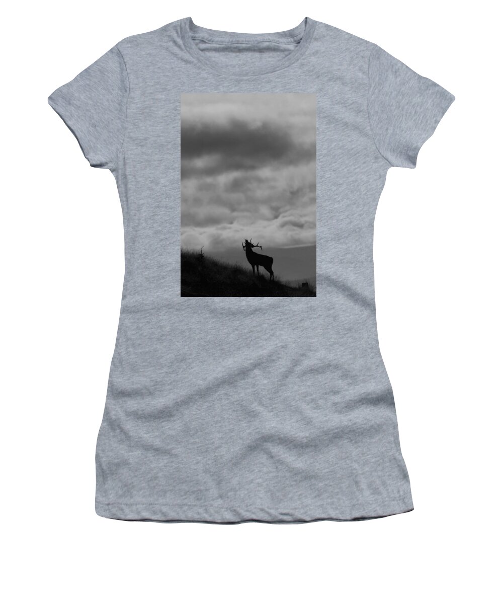 Rutting Stag Women's T-Shirt featuring the photograph The Call of the North by Gavin MacRae