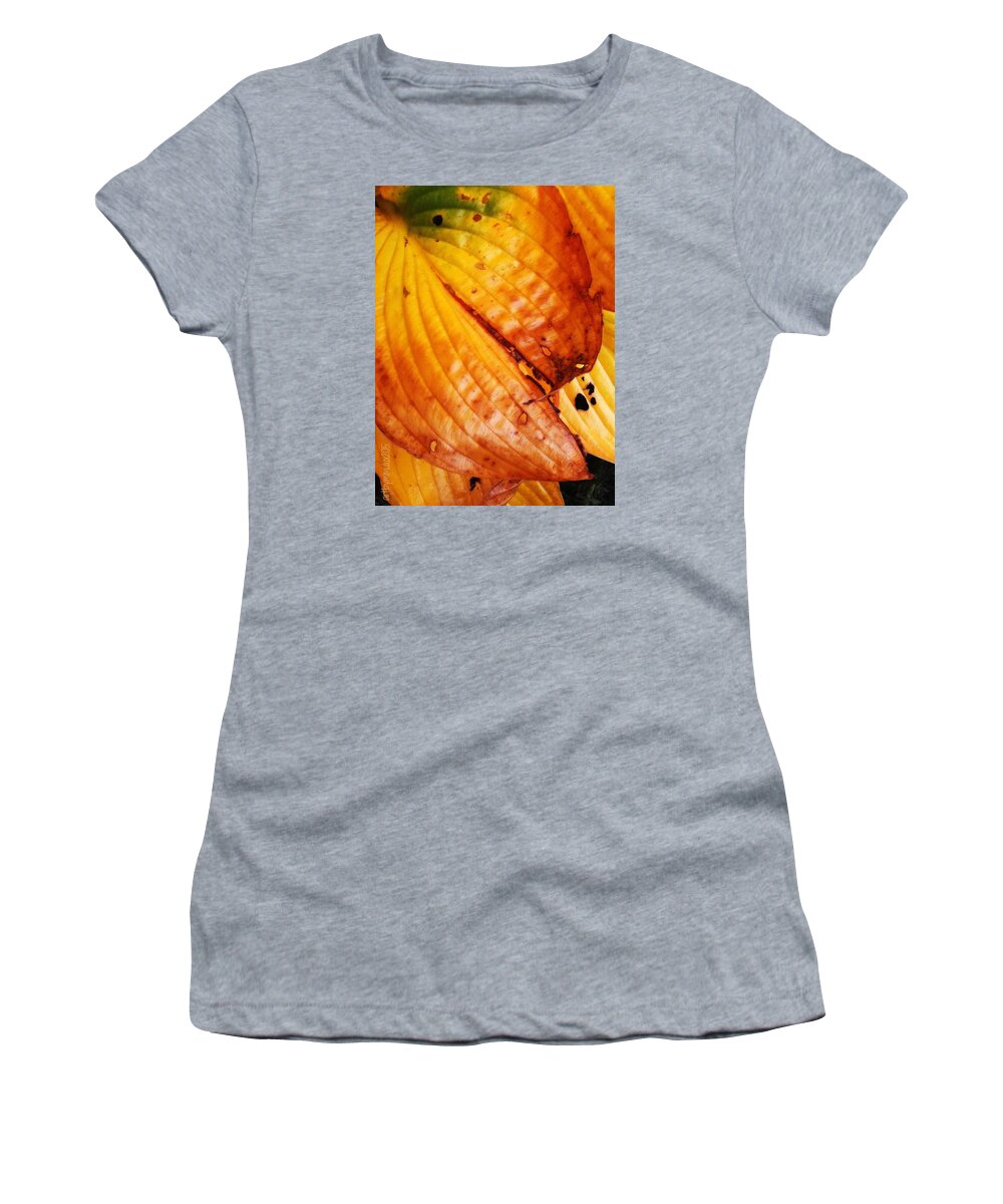 Autumn Women's T-Shirt featuring the photograph The Colors of Autumn by Mimulux Patricia No