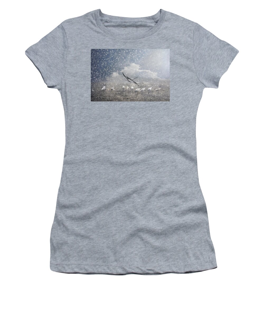 Animals Women's T-Shirt featuring the photograph the cranes of Fischland by Joachim G Pinkawa