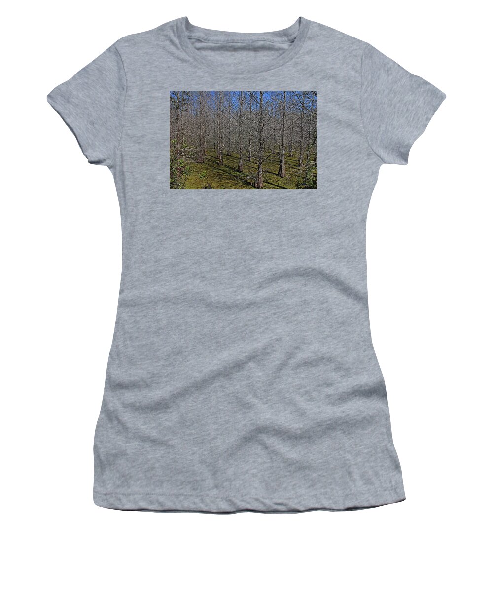 Nature Women's T-Shirt featuring the photograph The Darkest Minds by Michiale Schneider