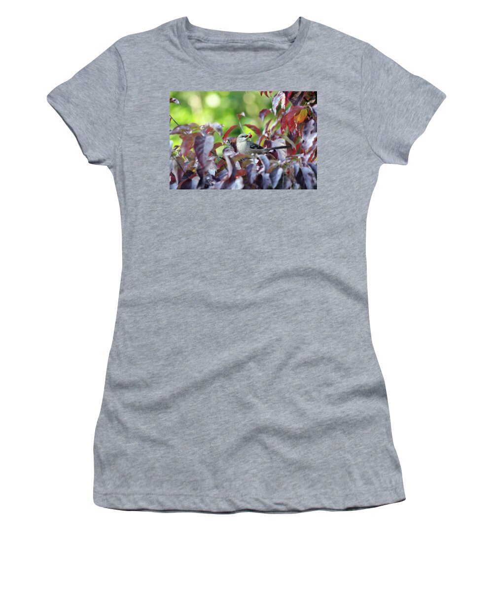 Nature Women's T-Shirt featuring the photograph The Dogwood Diner by Trina Ansel