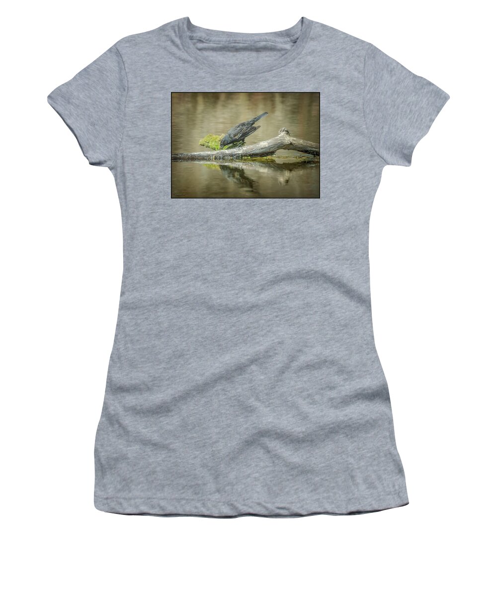 Crow Women's T-Shirt featuring the photograph The Fishing Raven by LeeAnn McLaneGoetz McLaneGoetzStudioLLCcom