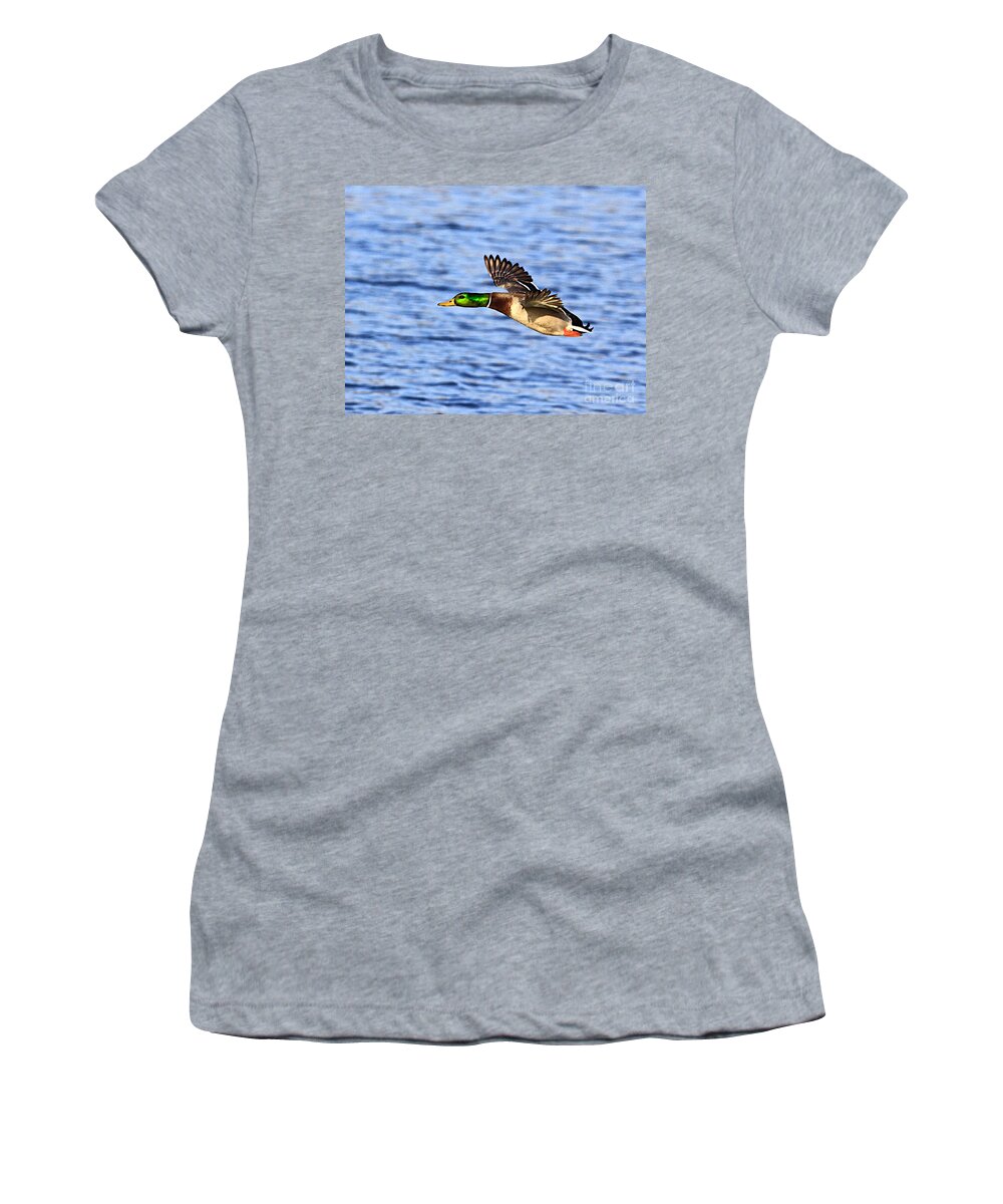 Bird Duck Water Flying Women's T-Shirt featuring the photograph The fly by by Robert Pearson